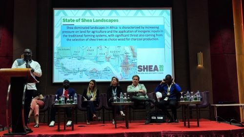 Shea 2023 Conference: companies, community livelihoods, climate, and biodiversity at the heart of discussions
