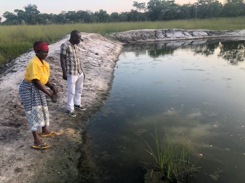 ACCF Secretariat conducts supervision mission of climate resilient agriculture project in Mozambique