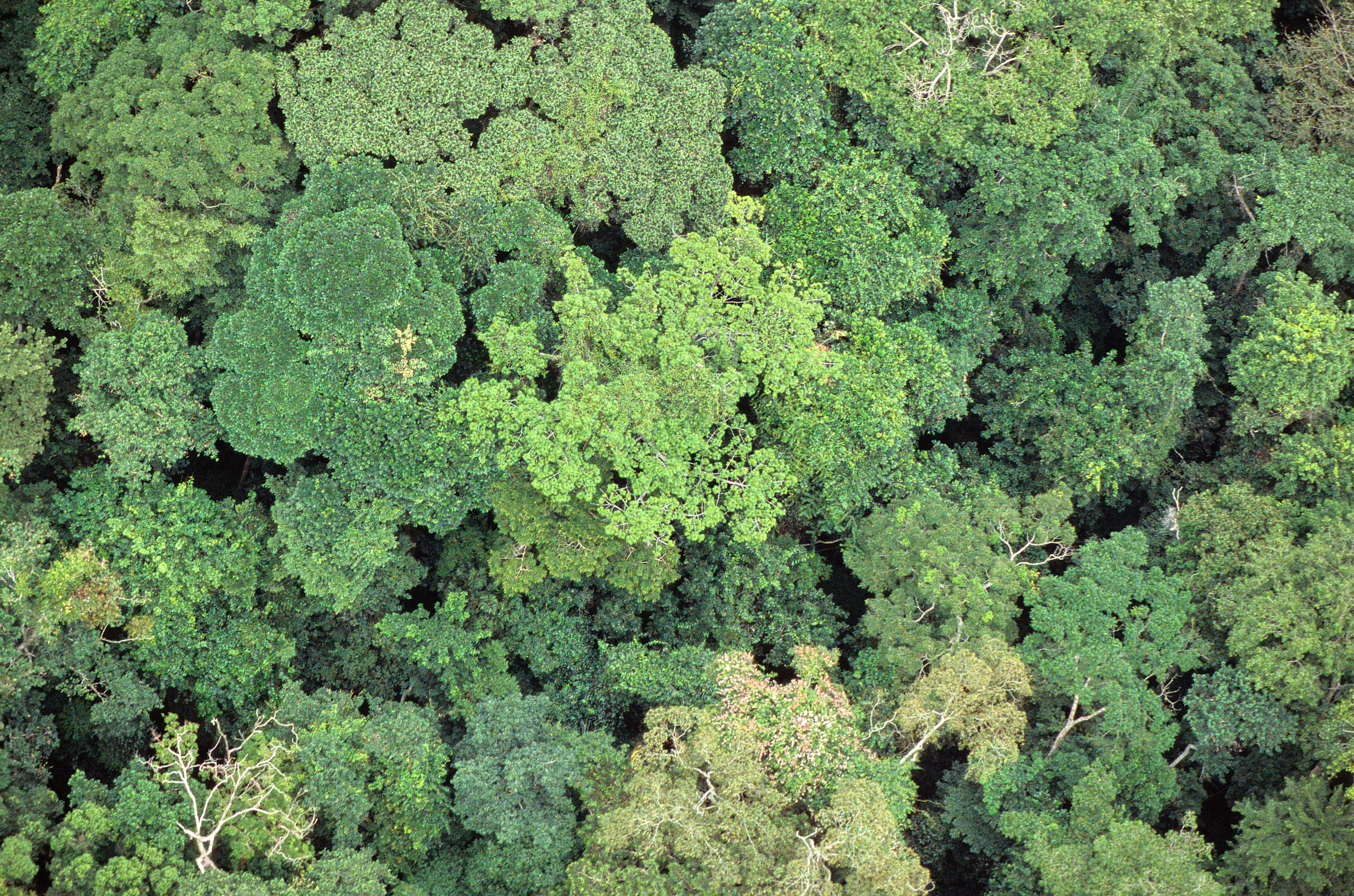 Multinational - Enhancing Access to Climate Information in Africa