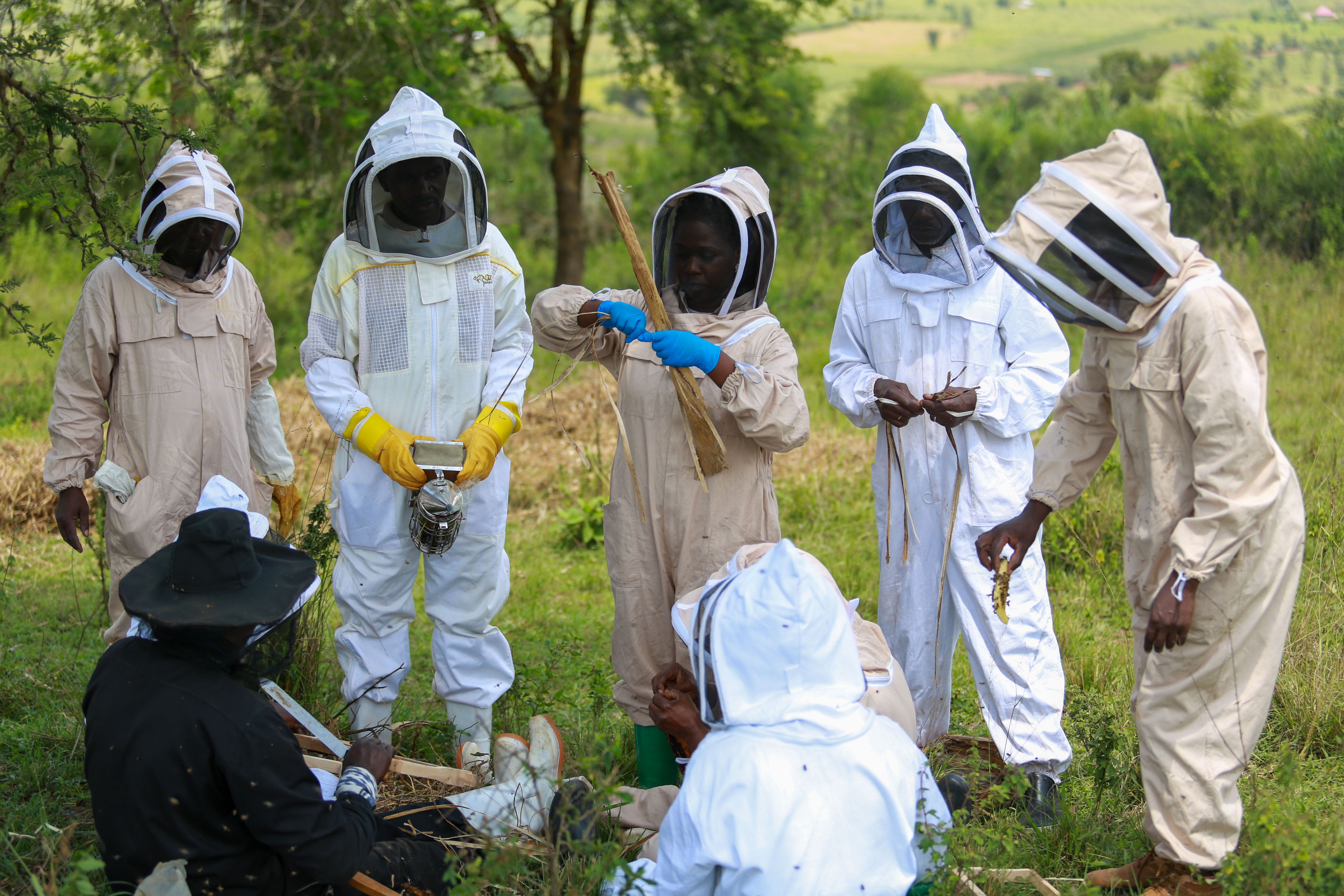 Hands-on Training – Beekeepers practice transferring colonies to modern hives during a training supporting six cooperatives