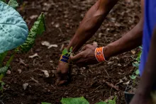 Advancing Kenya’s Green Growth Agenda