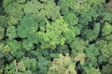 Multinational - Enhancing Access to Climate Information in Africa