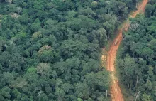 Multinational - The NDC support Hub: Supporting NDC Implementation in Africa 