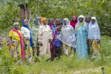 Togo - Burkina Faso - Towards Climate Resilient Shea Communities