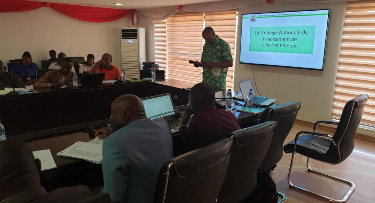 Mali - Accelerating the Construction of a Green and Climate-Resilient Economy