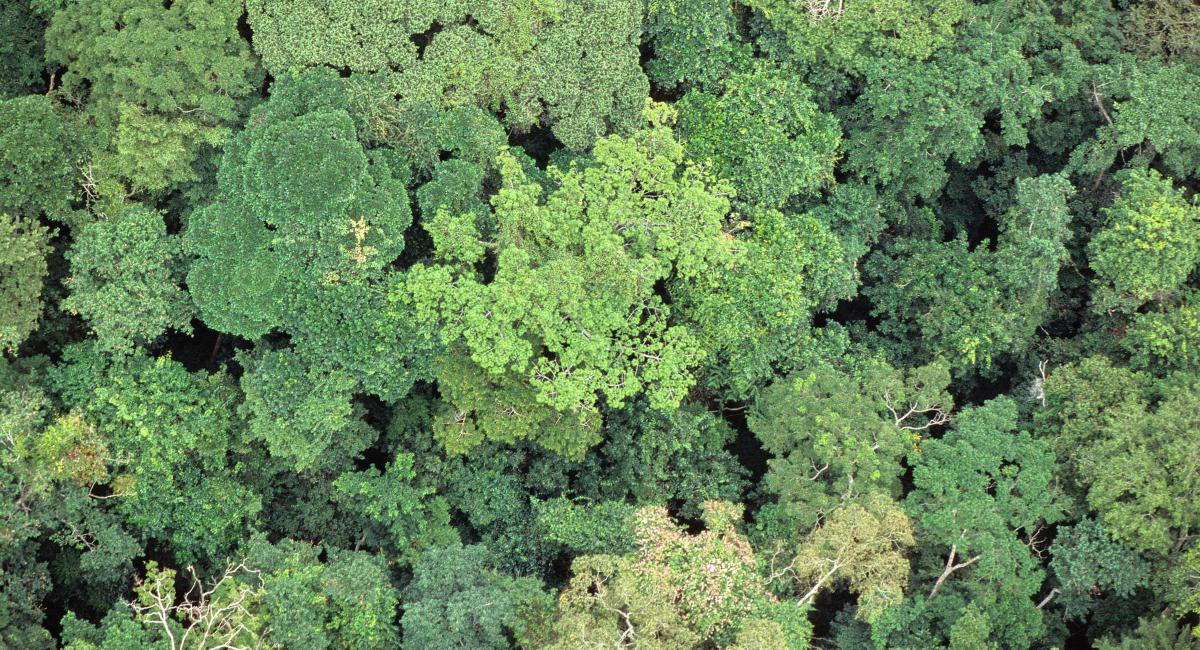 Multinational - Enhancing Access to Climate Information in Africa